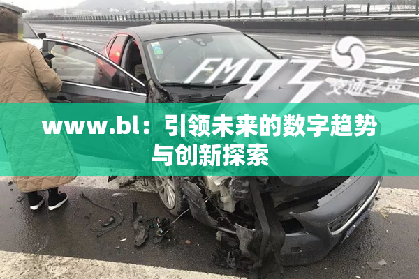 www.bl：引领未来的数字趋势与创新探索