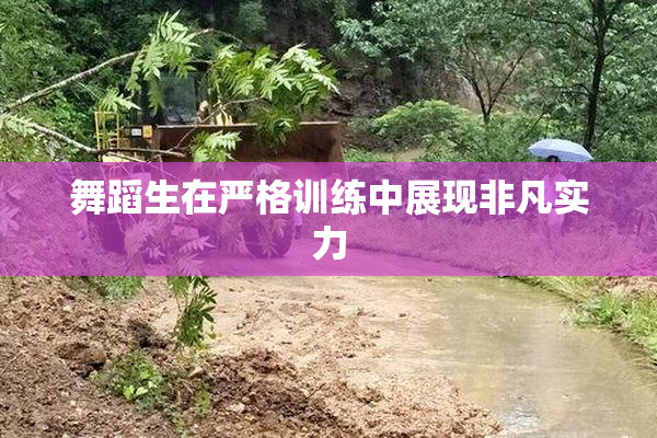 舞蹈生在严格训练中展现非凡实力