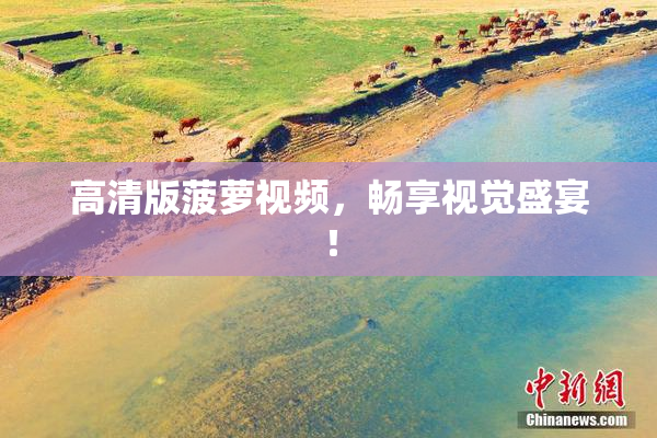 高清版菠萝视频，畅享视觉盛宴！