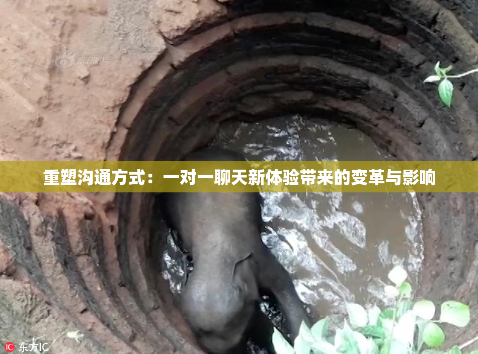重塑沟通方式：一对一聊天新体验带来的变革与影响