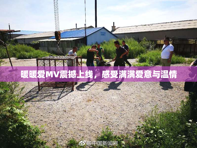 暖暖爱MV震撼上线，感受满满爱意与温情