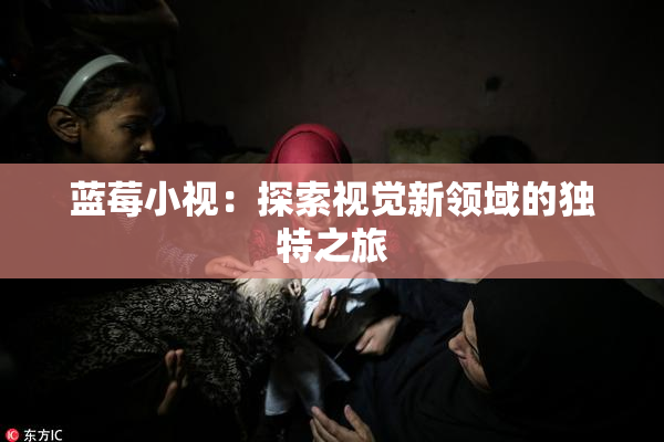 蓝莓小视：探索视觉新领域的独特之旅