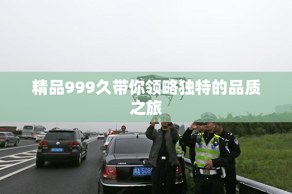 精品999久带你领略独特的品质之旅