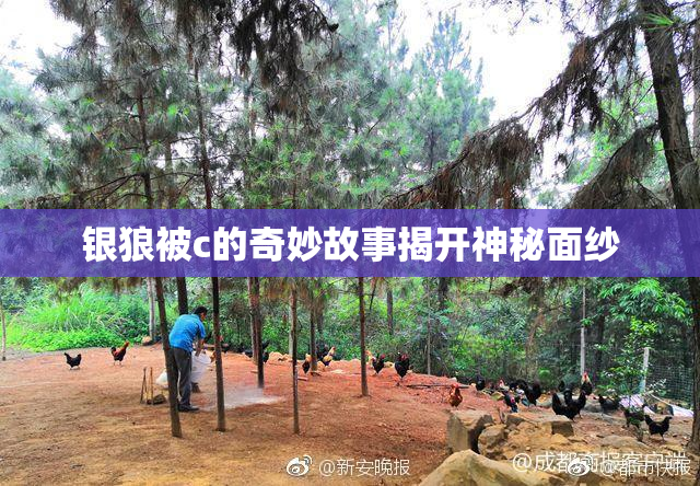 银狼被c的奇妙故事揭开神秘面纱