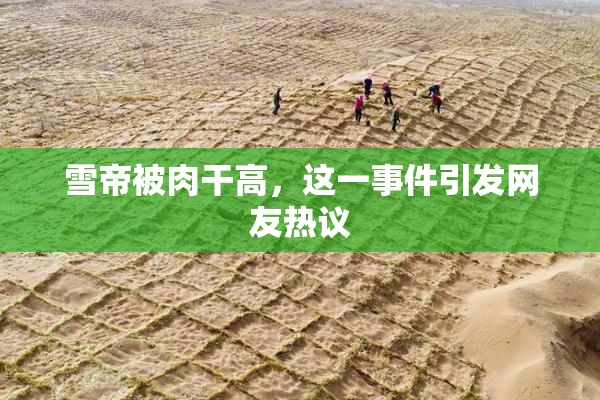 雪帝被肉干高，这一事件引发网友热议