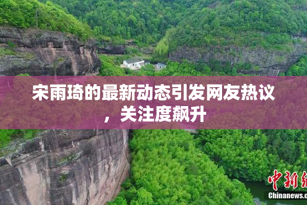 宋雨琦的最新动态引发网友热议，关注度飙升