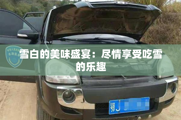 雪白的美味盛宴：尽情享受吃雪的乐趣
