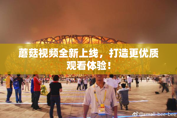 蘑菇视频全新上线，打造更优质观看体验！