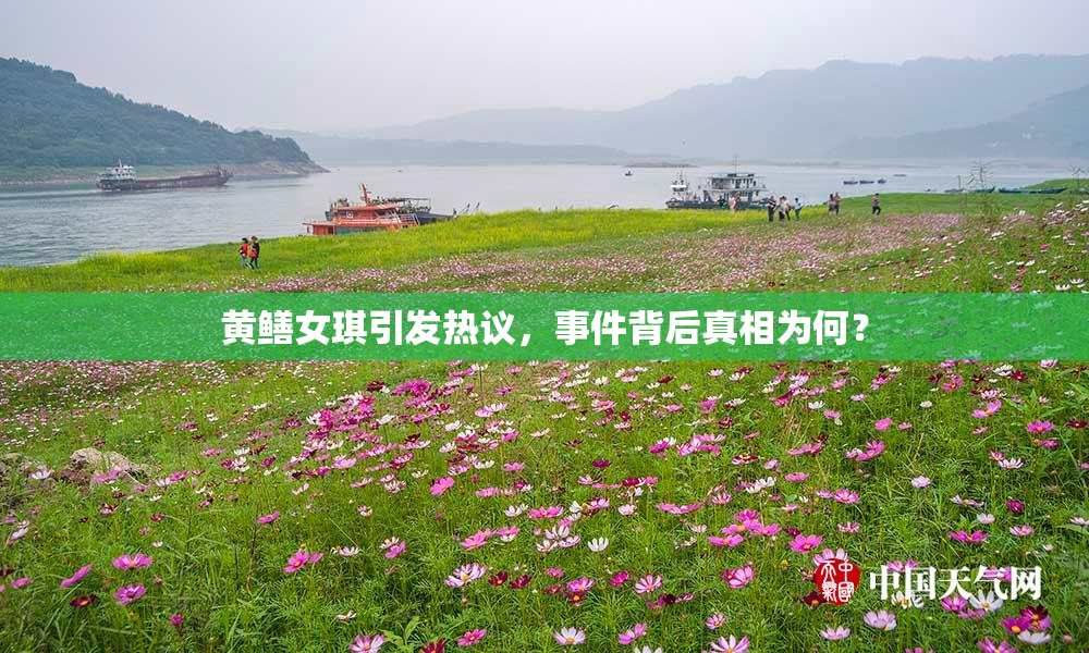 黄鳝女琪引发热议，事件背后真相为何？