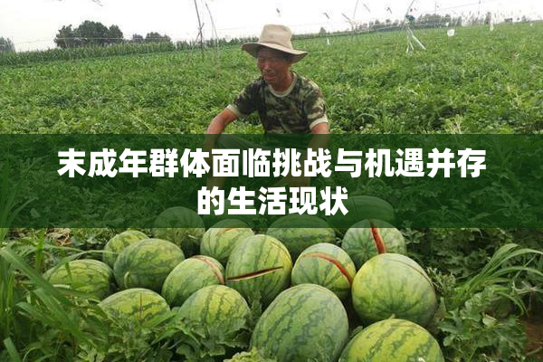 末成年群体面临挑战与机遇并存的生活现状
