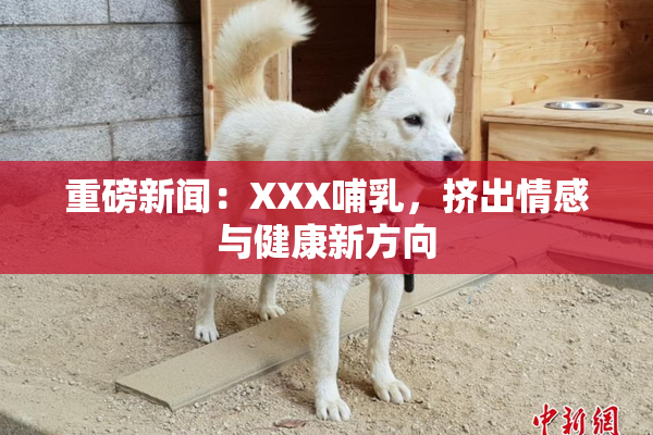 重磅新闻：XXX哺乳，挤出情感与健康新方向