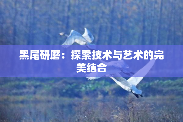 黑尾研磨：探索技术与艺术的完美结合