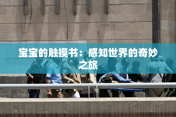 宝宝的触摸书：感知世界的奇妙之旅