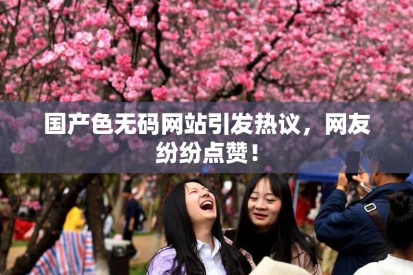 国产色无码网站引发热议，网友纷纷点赞！