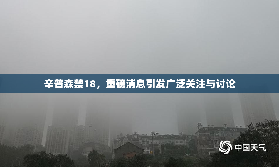 辛普森禁18，重磅消息引发广泛关注与讨论