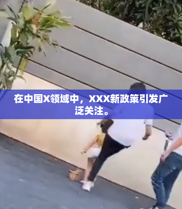 在中国X领域中，XXX新政策引发广泛关注。