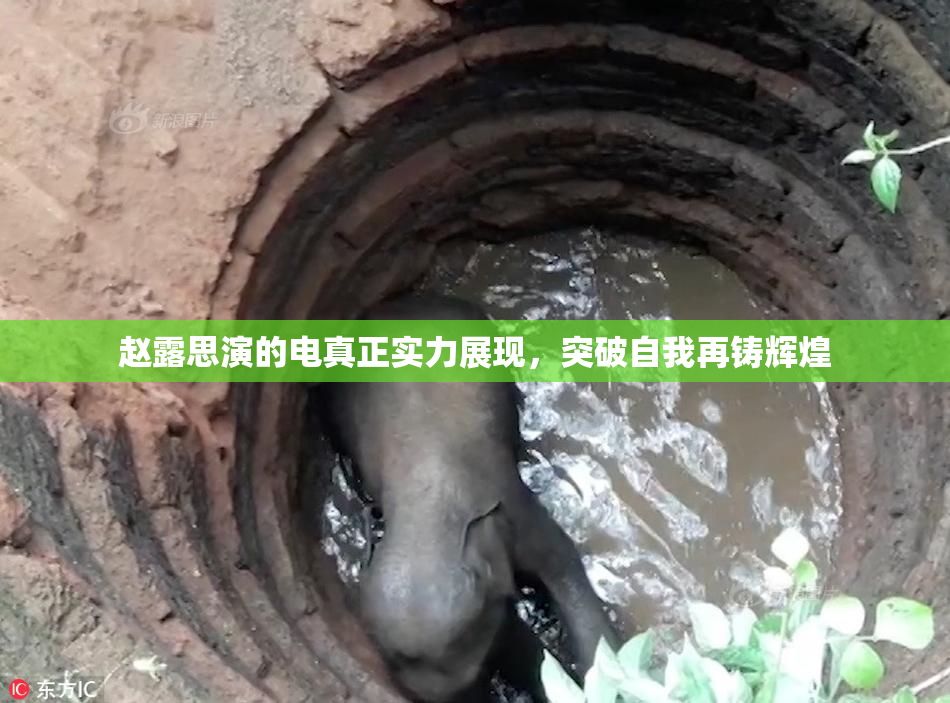 赵露思演的电真正实力展现，突破自我再铸辉煌