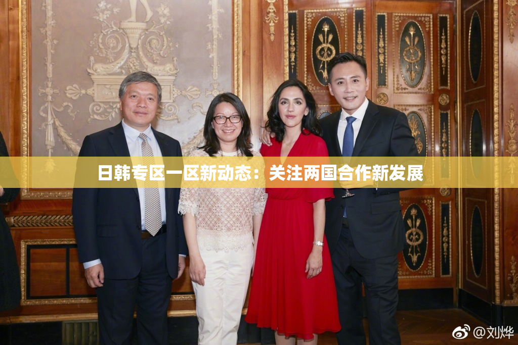 日韩专区一区新动态：关注两国合作新发展