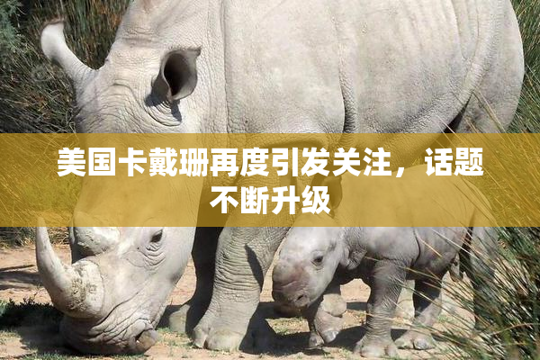 美国卡戴珊再度引发关注，话题不断升级