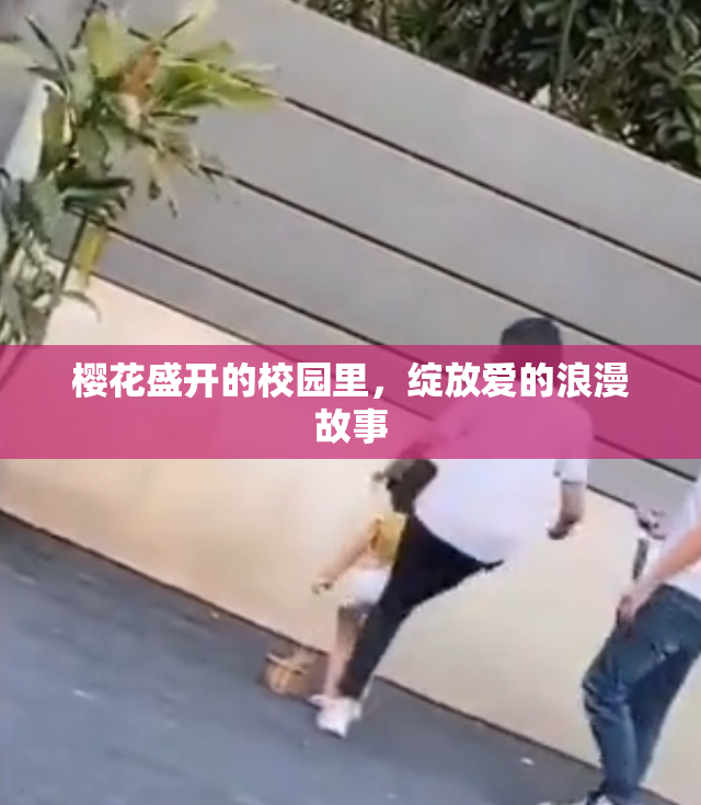 樱花盛开的校园里，绽放爱的浪漫故事
