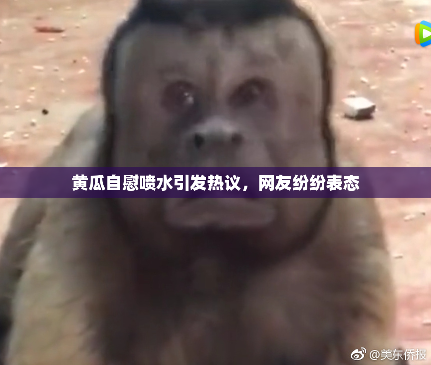 黄瓜自慰喷水引发热议，网友纷纷表态