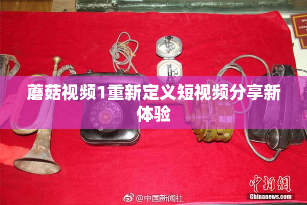 蘑菇视频1重新定义短视频分享新体验