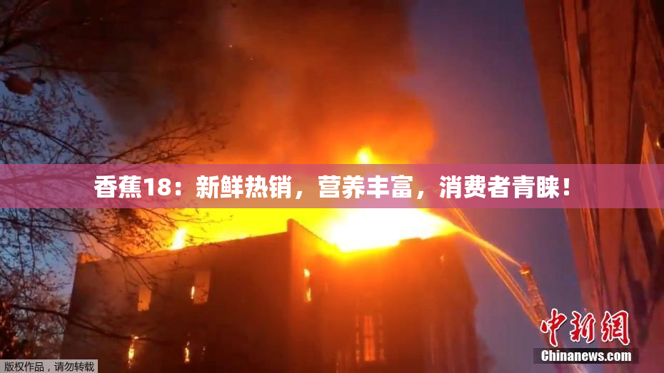 香蕉18：新鲜热销，营养丰富，消费者青睐！
