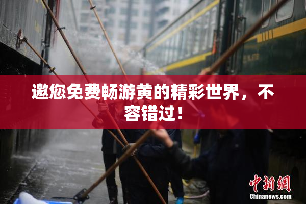 邀您免费畅游黄的精彩世界，不容错过！