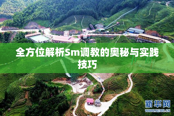 全方位解析Sm调教的奥秘与实践技巧