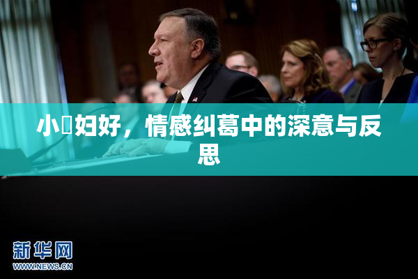 小婬妇好，情感纠葛中的深意与反思