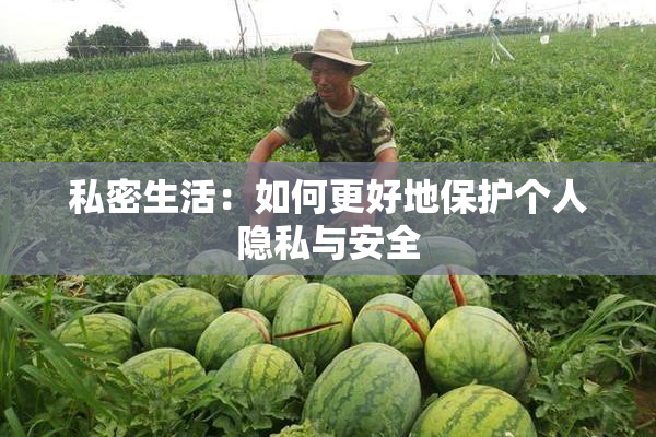 私密生活：如何更好地保护个人隐私与安全