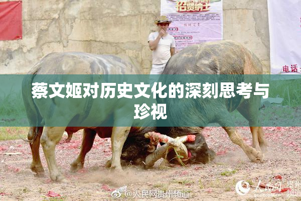 蔡文姬对历史文化的深刻思考与珍视