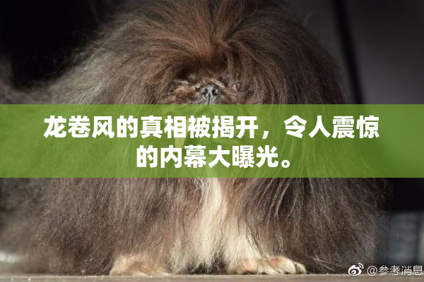 龙卷风的真相被揭开，令人震惊的内幕大曝光。