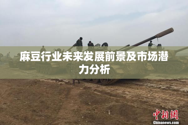 麻豆行业未来发展前景及市场潜力分析