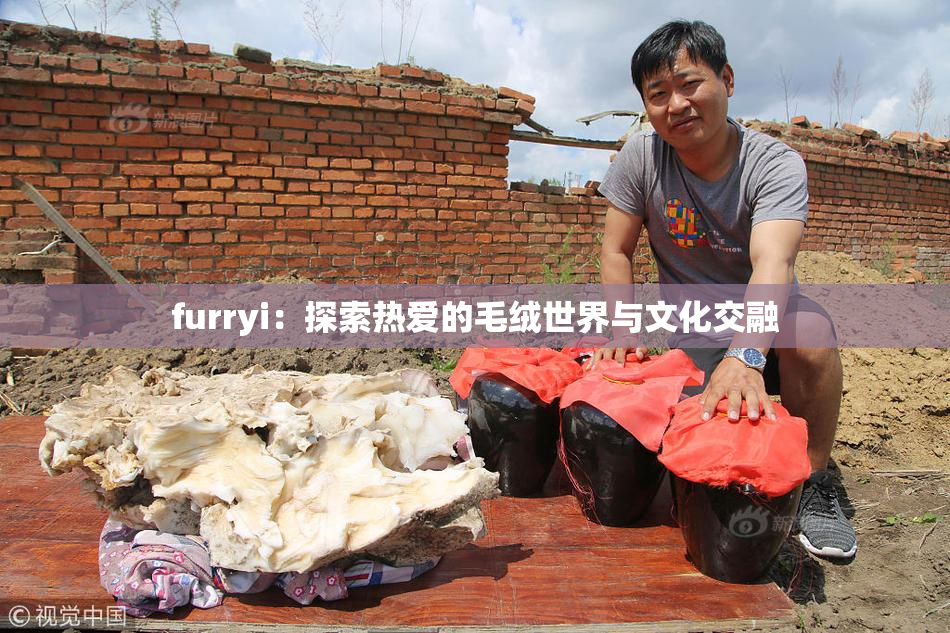 furryi：探索热爱的毛绒世界与文化交融