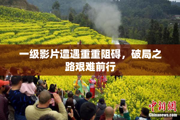 一级影片遭遇重重阻碍，破局之路艰难前行