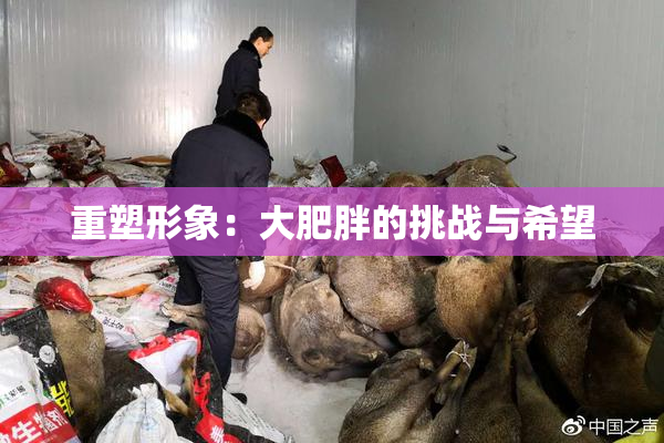 重塑形象：大肥胖的挑战与希望