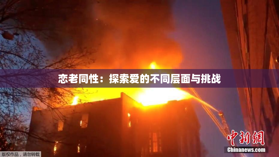 恋老同性：探索爱的不同层面与挑战