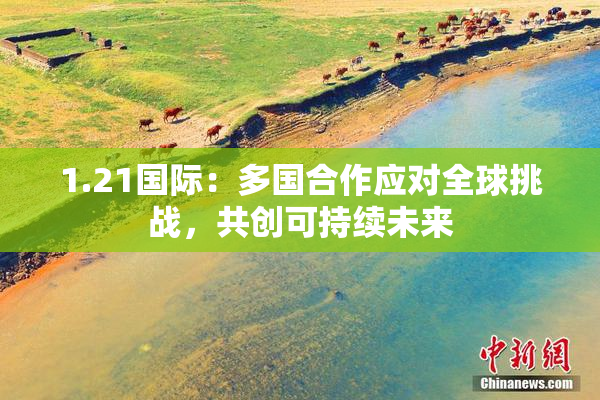 1.21国际：多国合作应对全球挑战，共创可持续未来