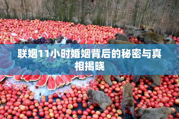 联姻11小时婚姻背后的秘密与真相揭晓