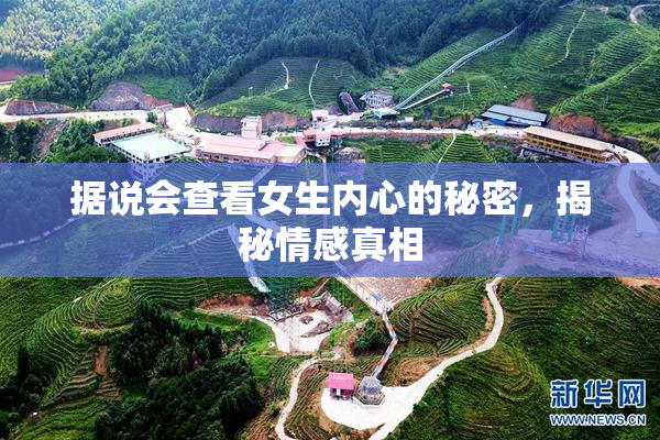 据说会查看女生内心的秘密，揭秘情感真相