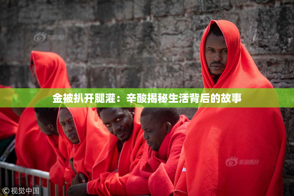 金被扒开腿灌：辛酸揭秘生活背后的故事
