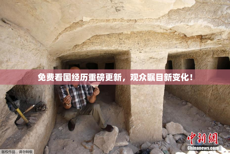免费看国经历重磅更新，观众瞩目新变化！