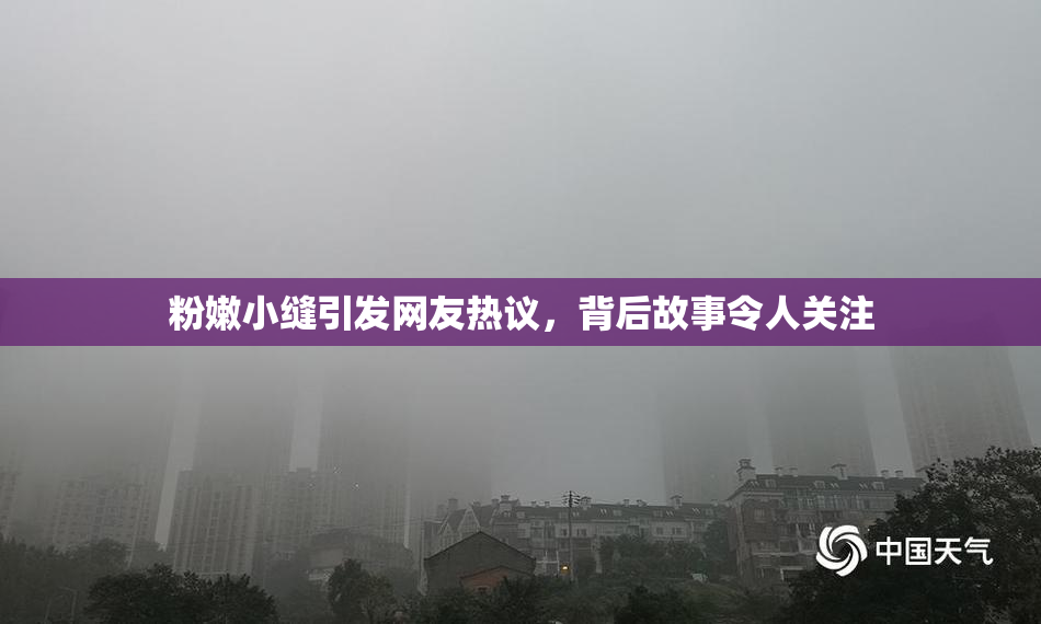 粉嫩小缝引发网友热议，背后故事令人关注