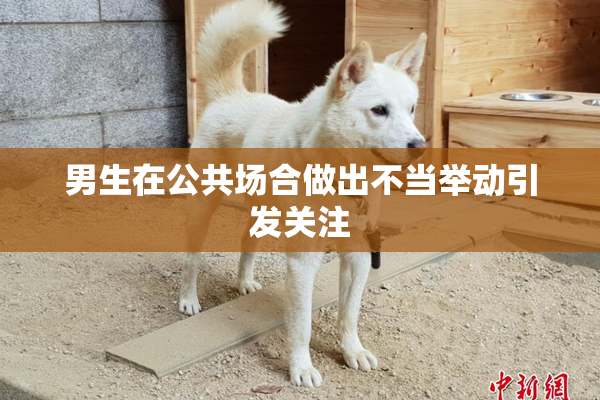 男生在公共场合做出不当举动引发关注