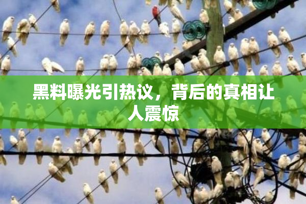 黑料曝光引热议，背后的真相让人震惊