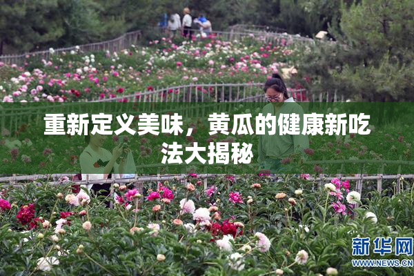 重新定义美味，黄瓜的健康新吃法大揭秘