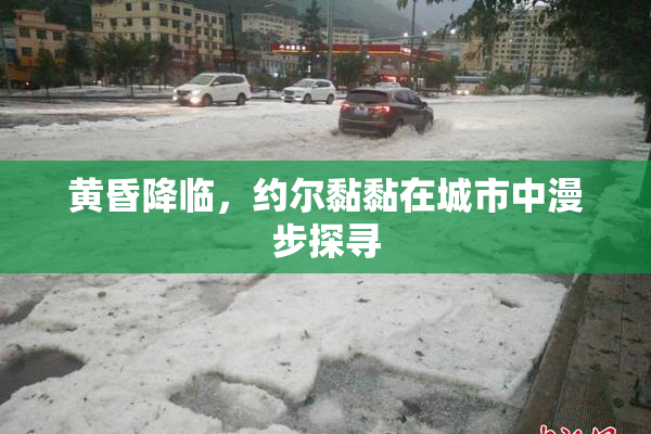 黄昏降临，约尔黏黏在城市中漫步探寻