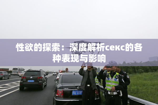 性欲的探索：深度解析секс的各种表现与影响