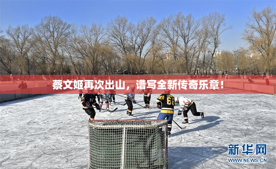 蔡文姬再次出山，谱写全新传奇乐章！